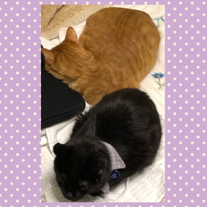 059d4783 bd17 4682 9e52 3d9909079b37 1573765832118