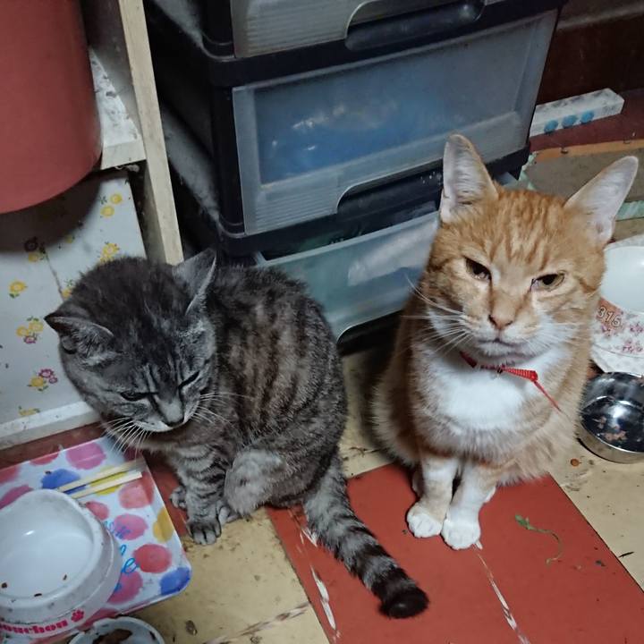 059d4ce2 94eb 4654 a4d3 ba0b8cb00ec5 1569700891397