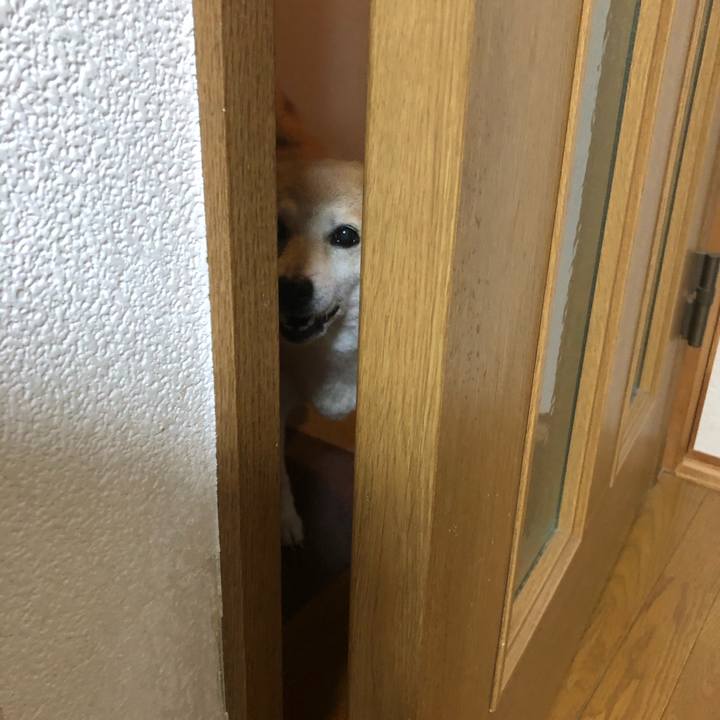 059d561c f17b 42a7 a86a 6051ed8aa62a 1591879364304