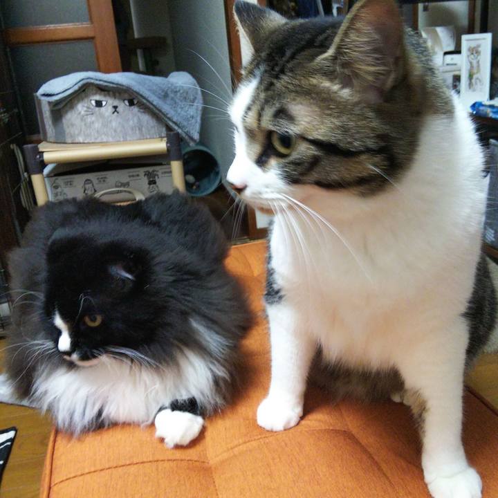 059d68c9 9542 40ee 8a68 8f5261260682 1657354500880