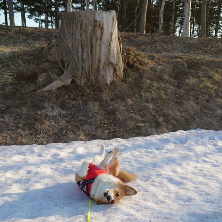 059d6ce5 5311 4048 ab6c 910880a45d08 1774395542652