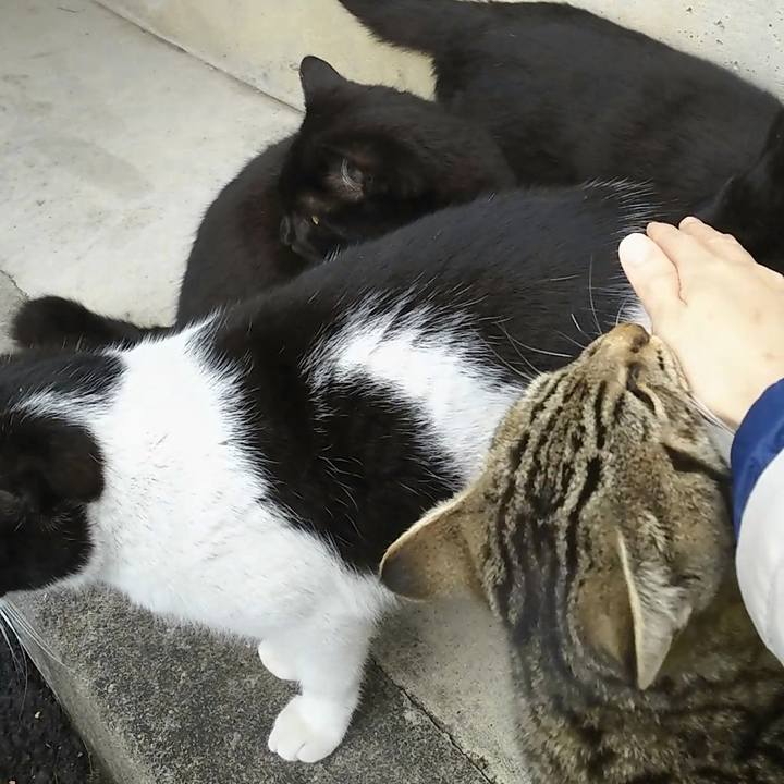 059dba11 c255 4f0b 9784 95381f73cecc 1555596899329