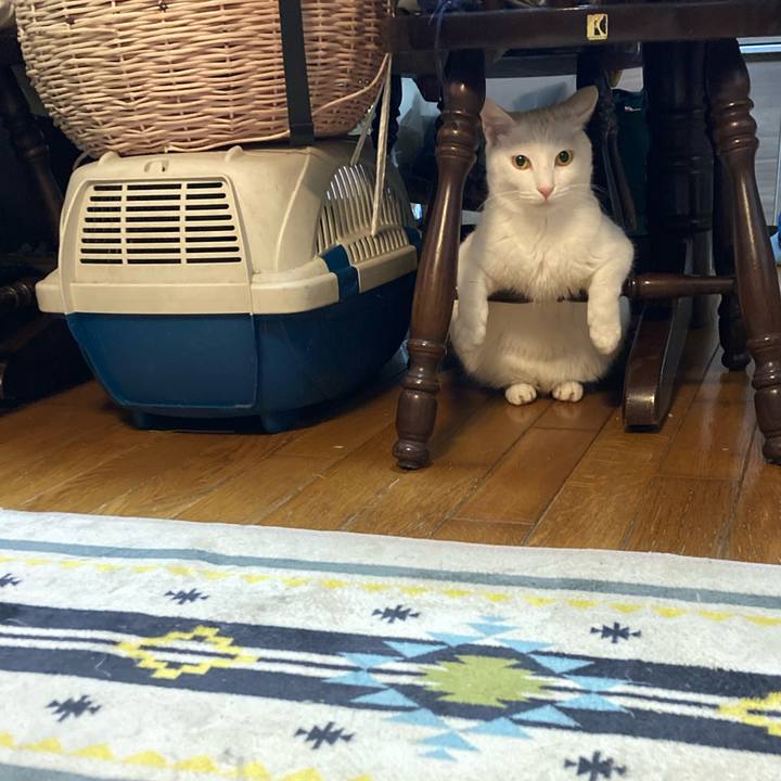 059ddf95 a81f 4f36 ad58 85dc8231f8e2 1736551687313