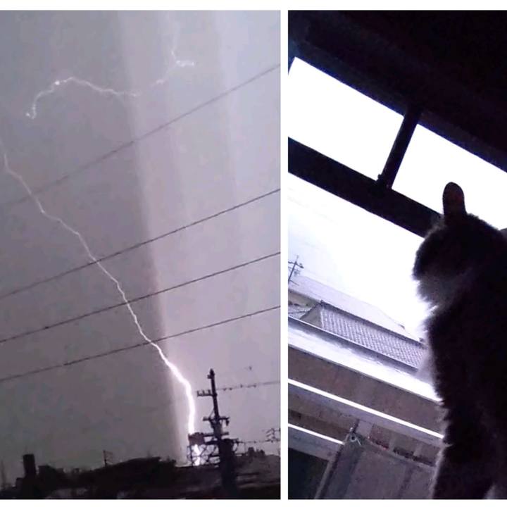 059e1dd5 f146 48db baa5 876fc05d8297 1693088920351