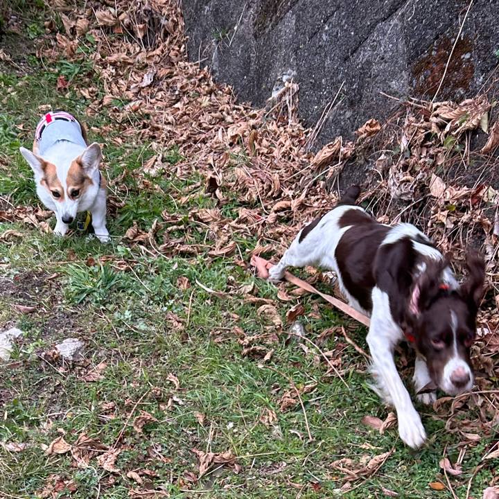 059e21f1 06c2 4be1 adb0 fe4ace7f7f0c 1768217852154