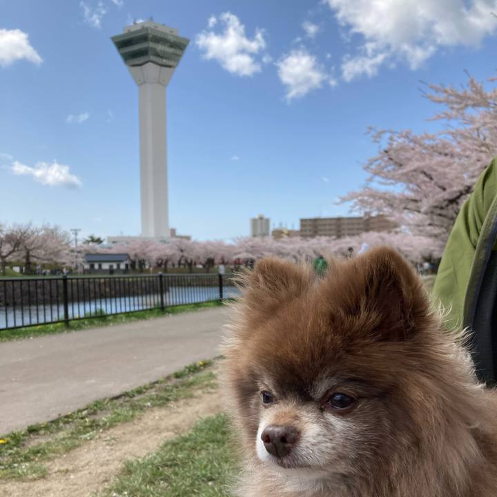 059e7244 d361 4d5a ae62 992f729fb2d3 1651029296865