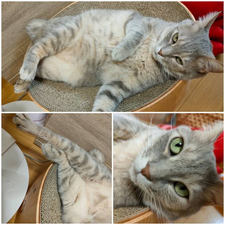 059e7de6 f68c 4948 a977 ba20511f9974 1651669419633