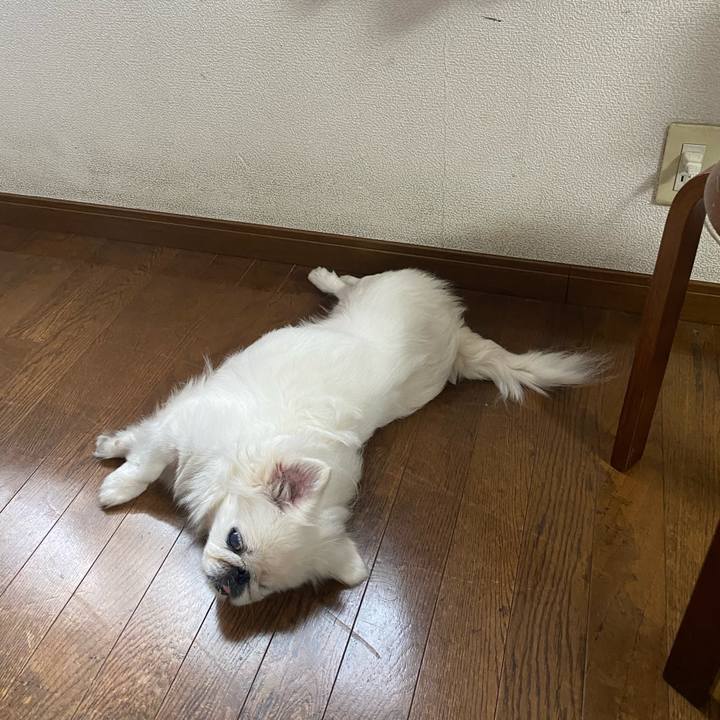 059ea1f3 dc2f 47fc bbc3 b0e8781e06d3 1727785683046