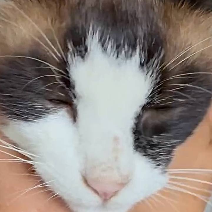 059edafa 1934 43b6 81d6 427c5dd63a3b 1750732216218