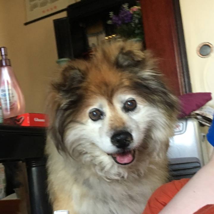 059ee449 20da 4753 8b2b 74739aa08281 1578552288044