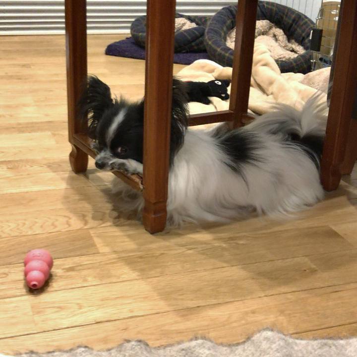 059f04cf 1032 4010 8e17 ea9315257281 1520073676246