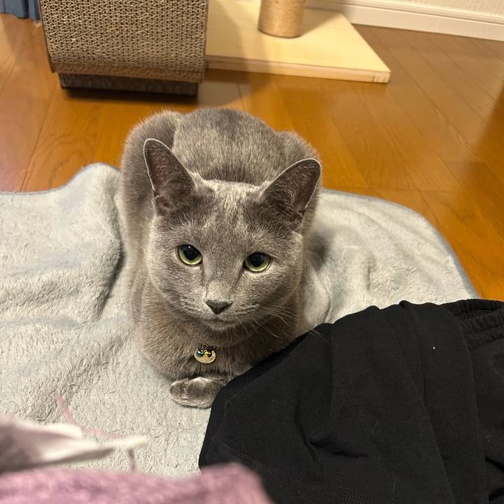 059f05b9 f456 4990 8938 d120c268f658 1683499872577