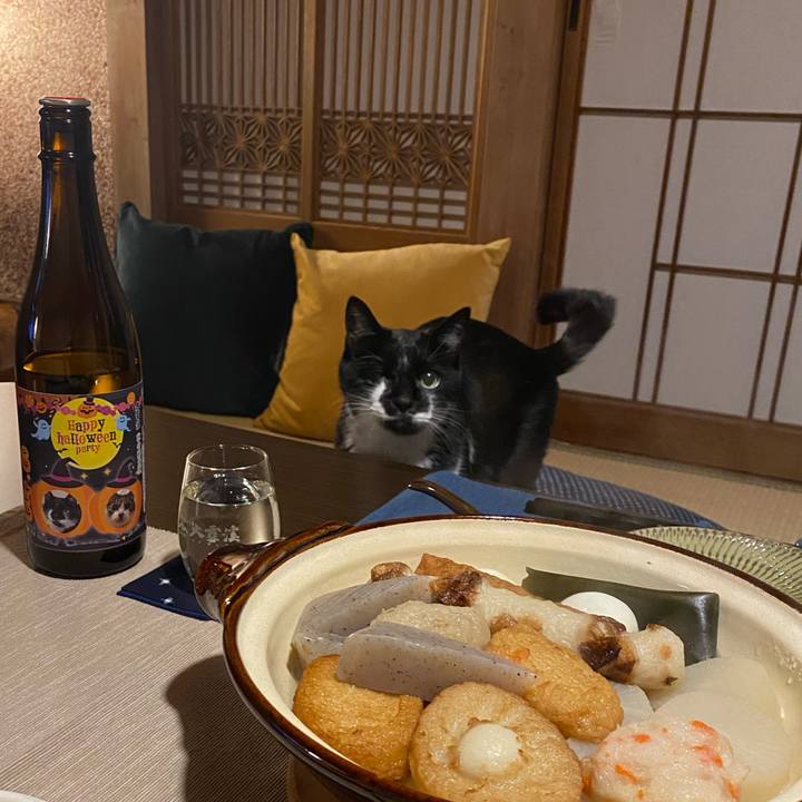 059f2fa2 b5f0 4f0b a27e e30b0464a912 1698748778867