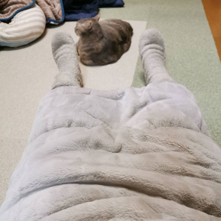 059f3c2c 98e2 4f97 bb19 109671521d45 1673251619885