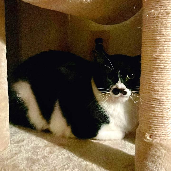 059f5f15 14d5 4eb3 88a6 a3d1d1d9c4e4 1673183844557