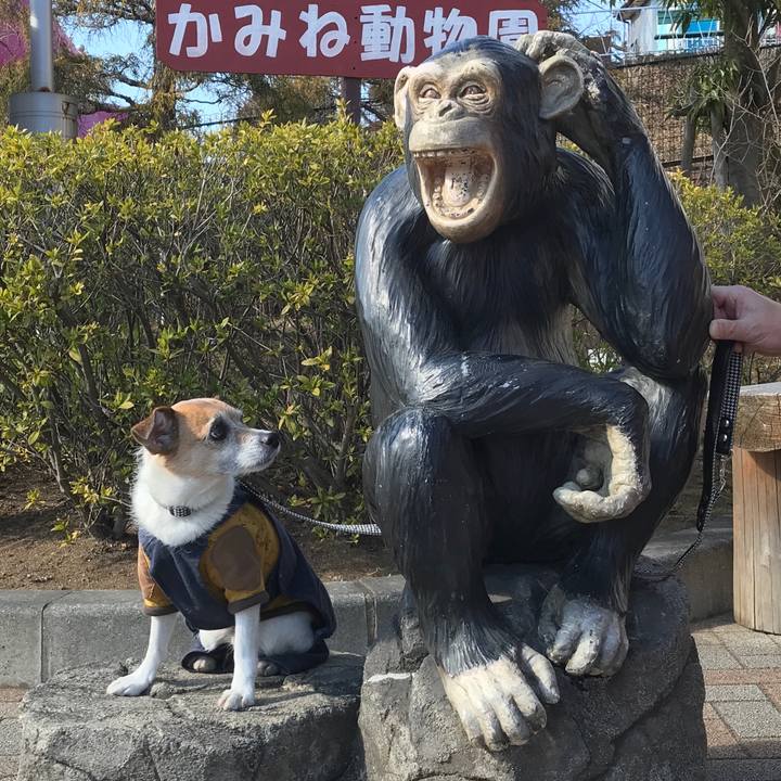 059f6e84 d66b 4844 aca1 923d301c6945 1581155708206