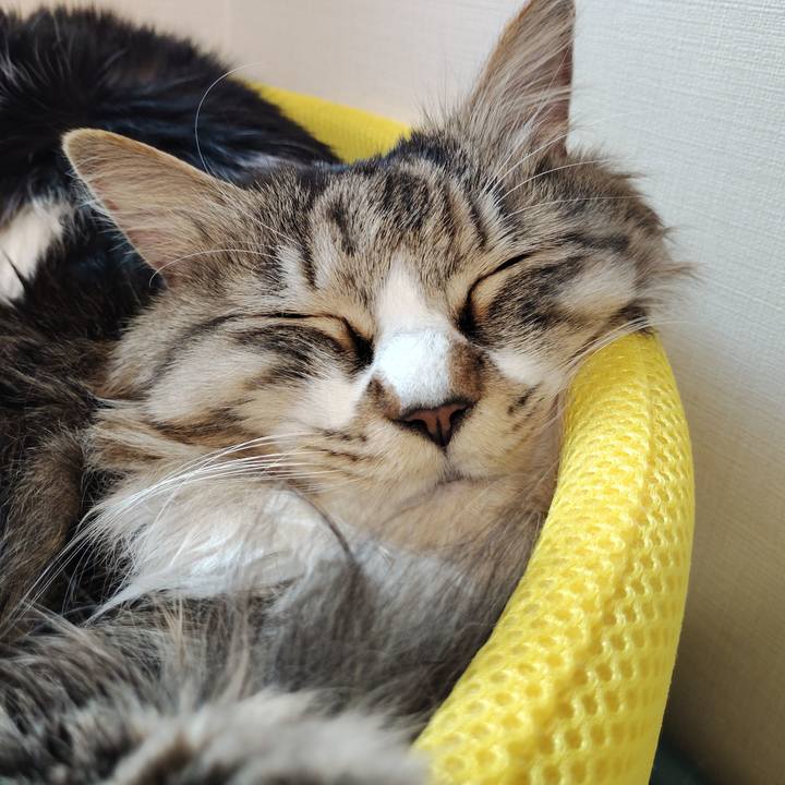 059f7898 2f19 47cc b7fb 8b1b9bf50517 1773101191545