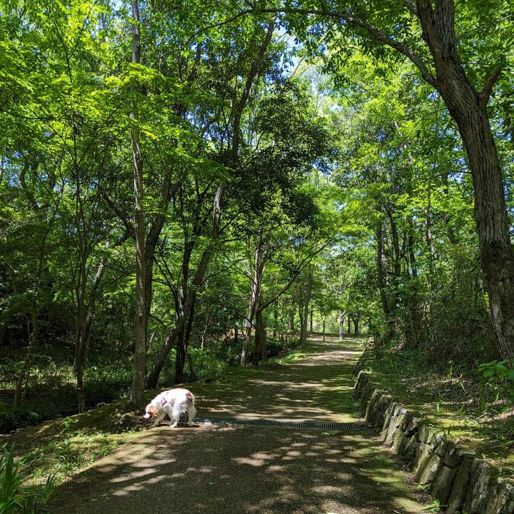 059fc55d cfc6 46b0 83b0 2a842439d9f7 1683457502392