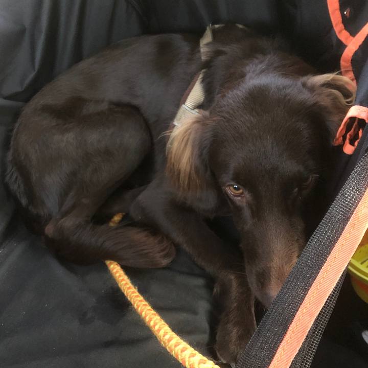 059fcb9e d63b 4b0b a3bf daa9beed5621 1581412247243