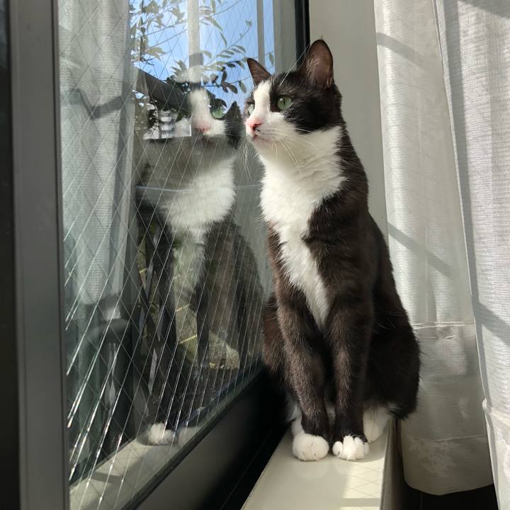 05a006e7 bd25 4d5d 9b5d c3d588cbe13f 1538797924179