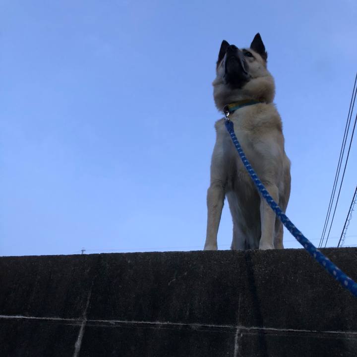 05a067fc 4993 4f0a a69e ef7f89ecb06c 1619439262336