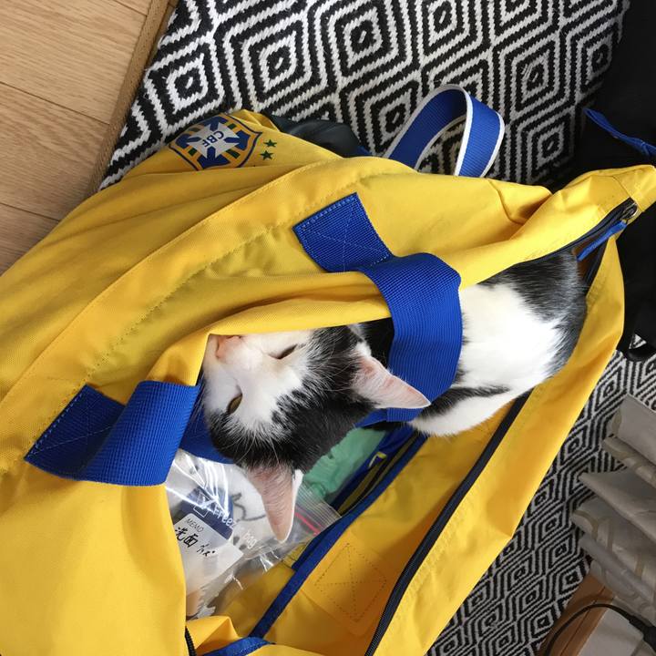 05a06b99 6aef 4b45 bba0 d28049fc014b 1529361116345