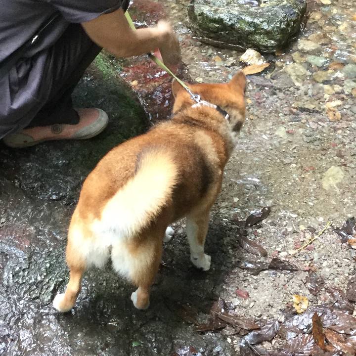 05a09165 30c0 4d51 9c67 179b0b6dc5a7 1565603809292