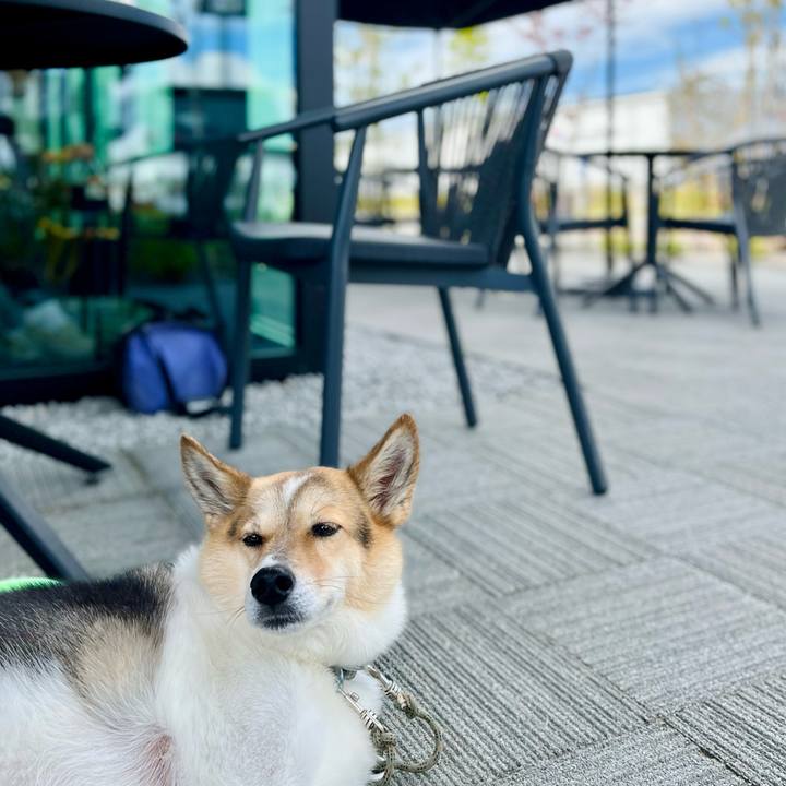 05a09782 ed04 4053 9bde d6b94cb1730a 1759378900973