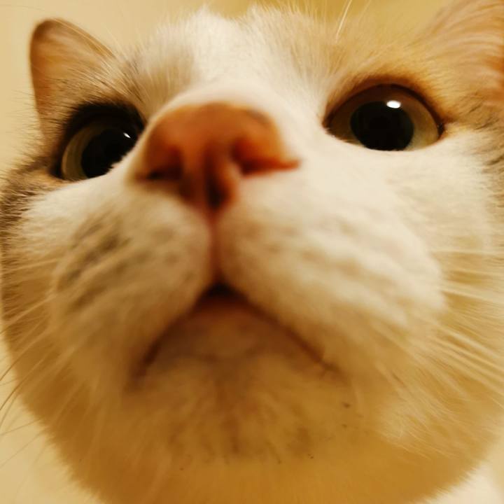 05a0b52f 4478 4570 8dd5 ecae707af5f9 1620289645599