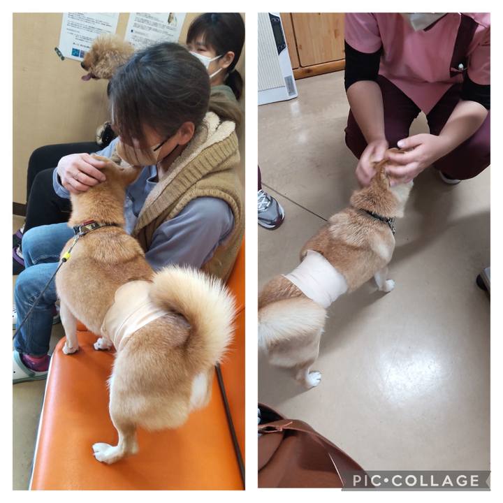 05a0ee78 9a4d 41bb 9007 2937affbf7af 1705467706179