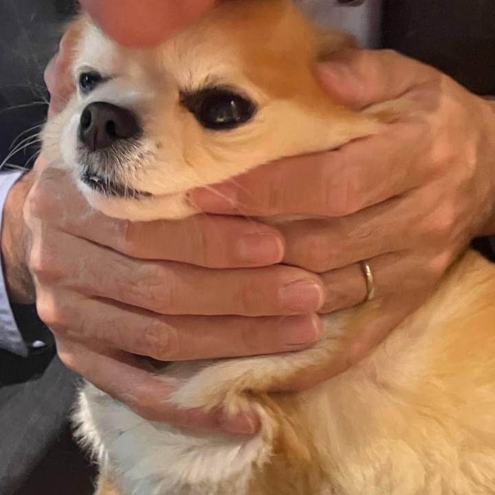 05a10204 8c3d 4d05 9329 d37e22eeb062 1773721877873