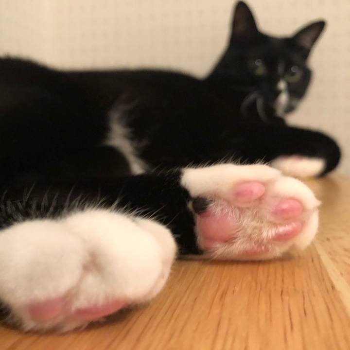 05a10799 06bf 472e a5cb 43d9b797be95 1528494688022