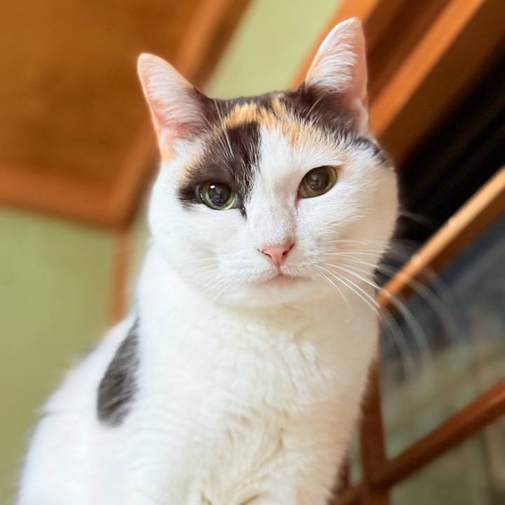 05a10d0a 9b1b 45b5 b09f 34ce519a68ca 1735782789222