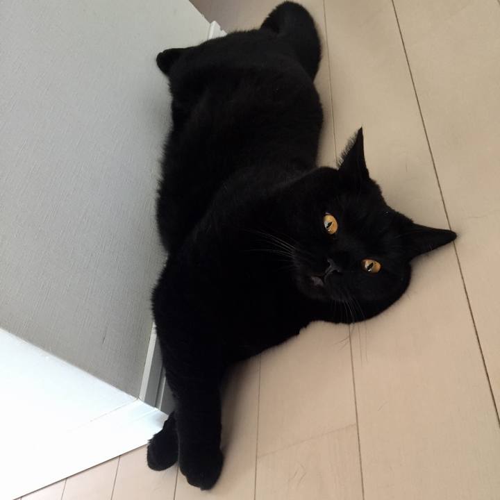 05a123b6 2458 407a bd0a 38ad65b758d5 1566693665700