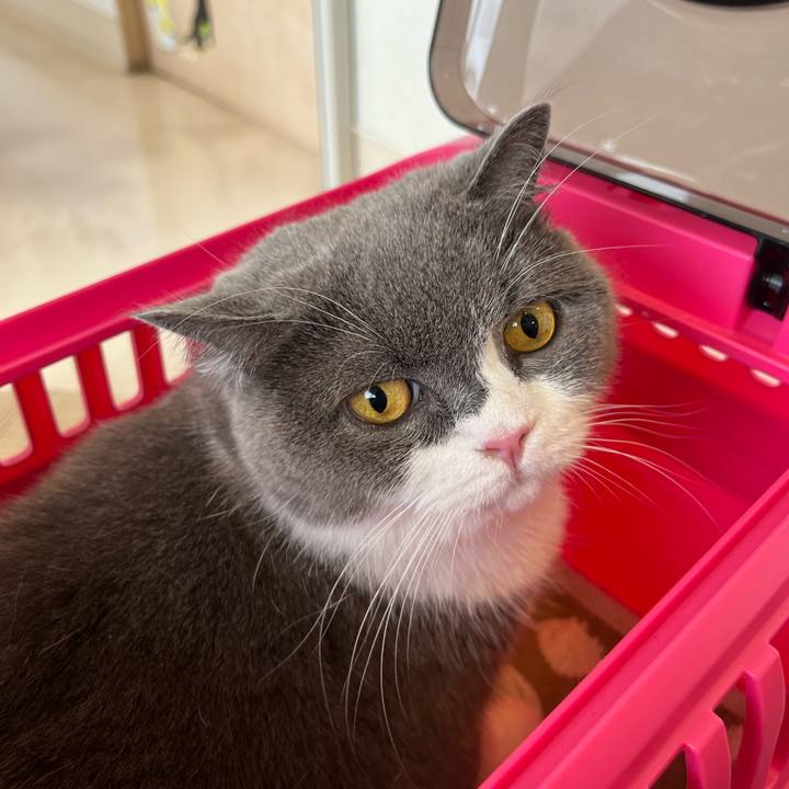 05a1369f 7450 44e6 bdc0 68dfc5d616ae 1663568301761