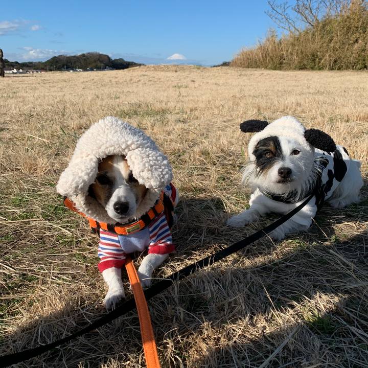 05a13c06 0cb5 42b7 a843 7555bddf78fc 1577496772457