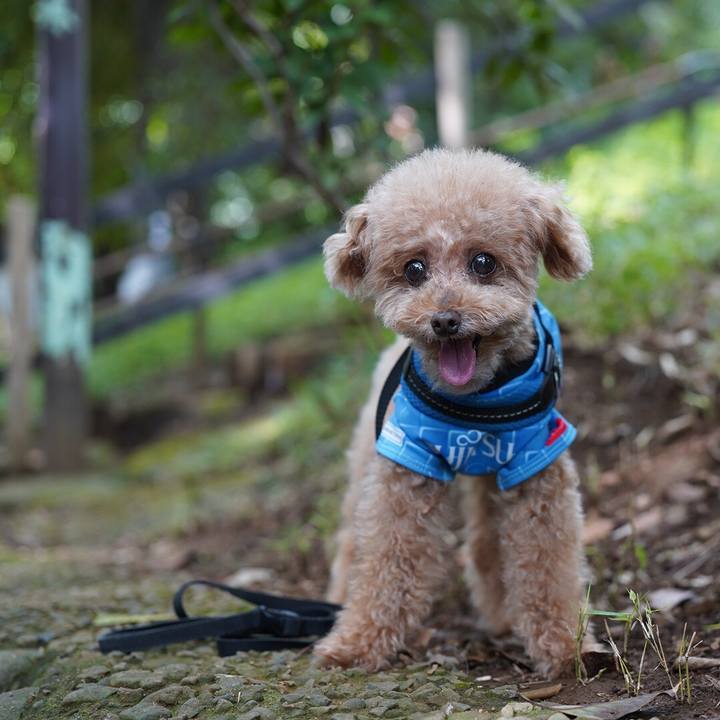 05a15196 bcd4 426d bd9a a5a06516d4b6 1665299050846