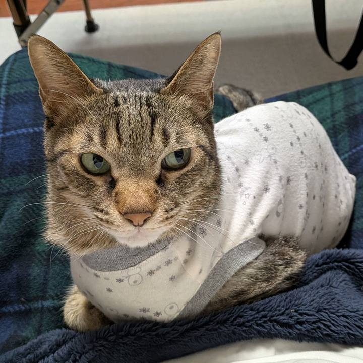 05a15d7a cf99 4afb 8270 647a73539e29 1768215004973