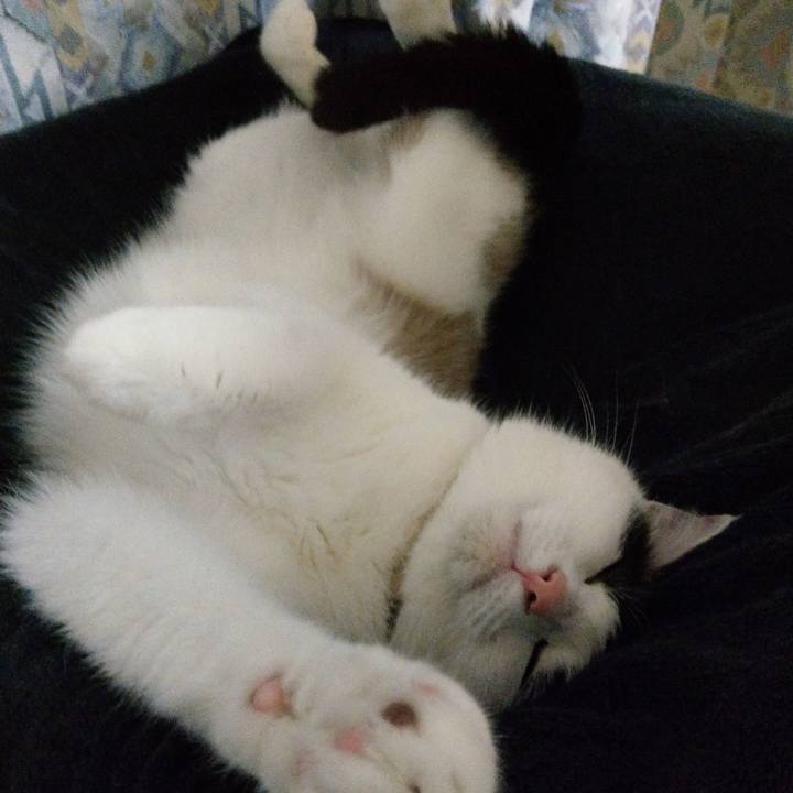 05a1650d 86d2 47a9 94f7 b17b52c695ad 1589119474744