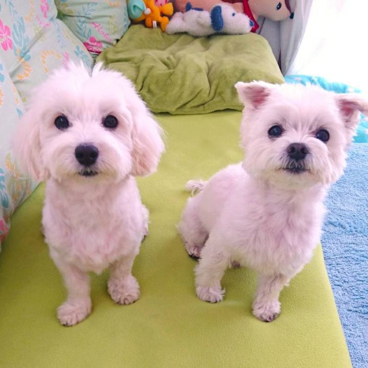 05a168ce 63ee 4c3f b253 175244507399 1514613970902