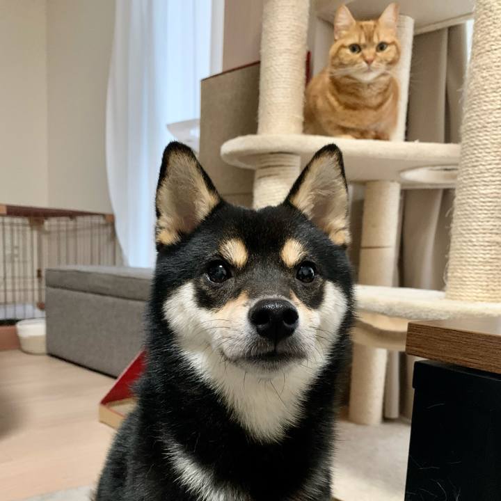 05a19761 2f79 406c 937e 4a0797c475d4 1619479429409