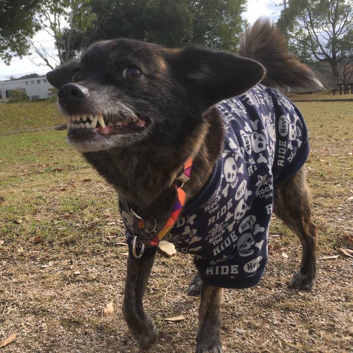 05a1d39e e0b4 4c61 a2b3 eea46ef616fc 1544661155946