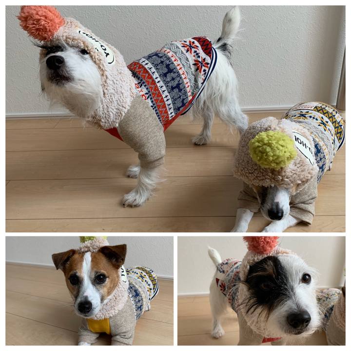 05a20776 b618 410f 81a1 f32bd87404e5 1576729953563