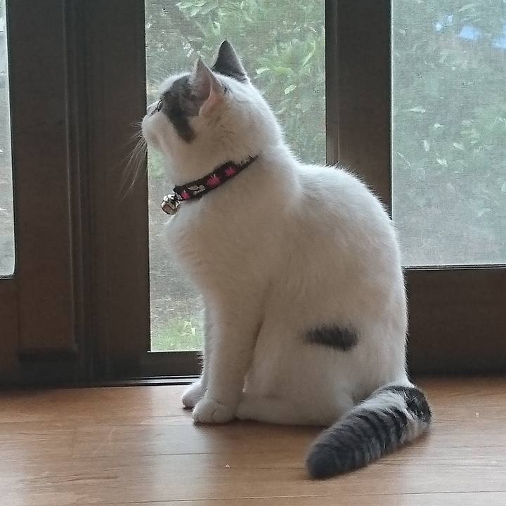 05a22637 e224 48cb bb30 ba1c648c93be 1604221041701