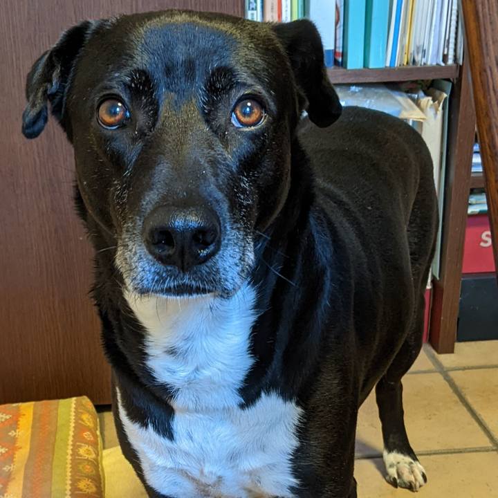 05a250eb 3638 4f32 888b 9b0186a2db1e 1681688162939