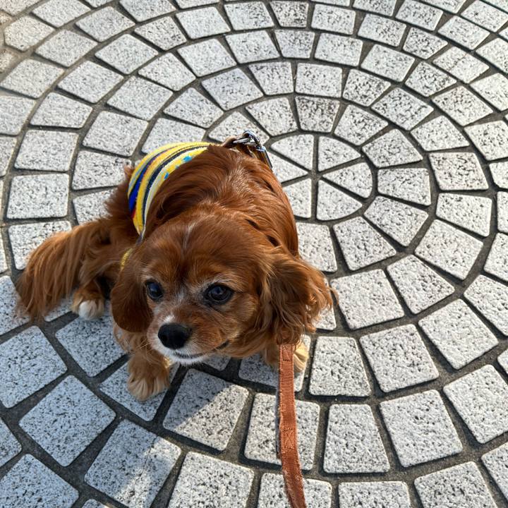 05a29127 fad4 47e9 81e2 2c4b6b7a2234 1677888177772