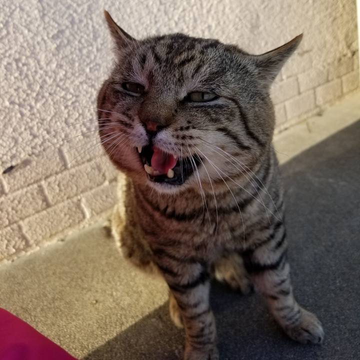 05a2a466 4417 494b 82ca 52d9363572e9 1615535498892