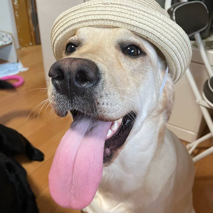 05a2a4f4 95e2 42df 9026 1b52739693ea 1653544177035