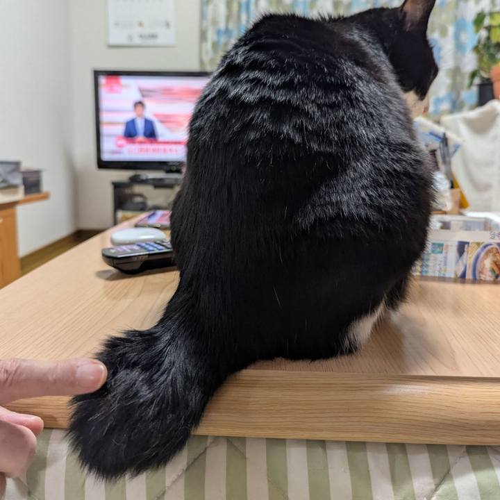 05a2ae42 d32d 400d 812c 379c7ee5993b 1772870206666