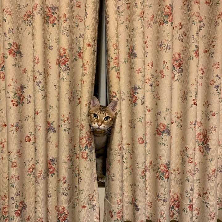 05a2ee00 1d8a 4a69 abc7 2d4f5c17fbb3 1638522758745